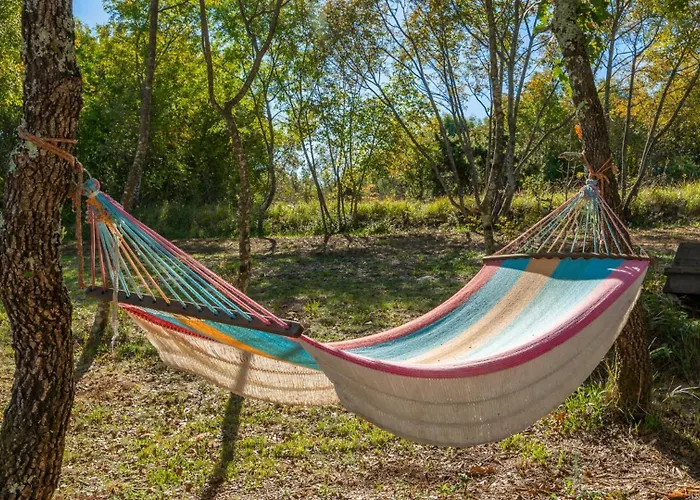 Rustic Krug With Panorama View In Buje